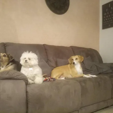 L'angolo Di Betti ベッド・アンド・ブレックファスト 3*