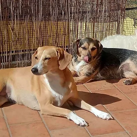 L'angolo Di Betti Alojamento de Acomodação e Pequeno-almoço