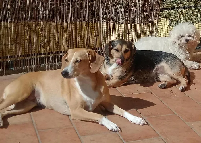 L'angolo Di Betti 3*